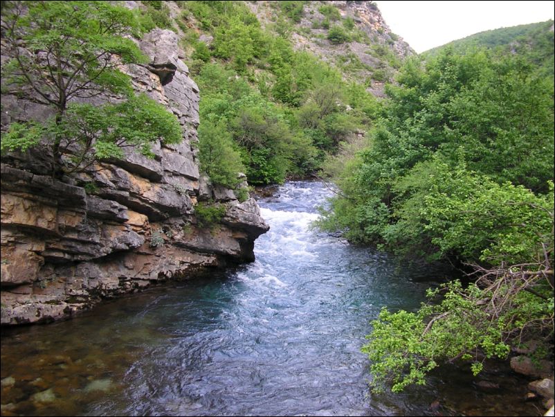 Krcic (16)